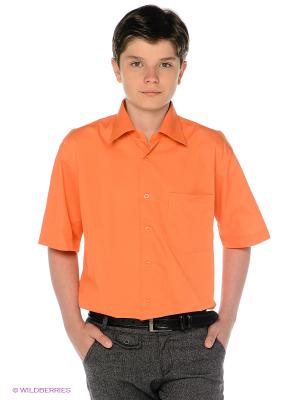 Рубашка Davani. Цвет: оранжевый