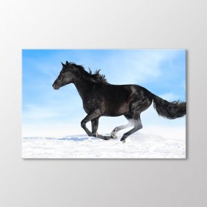 Черная лошадь картина Arty