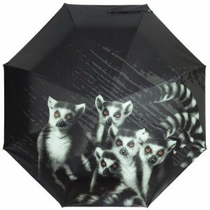 Зонт , черный RainLab. Цвет: черный