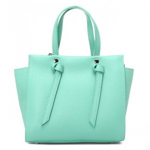 Дорожные и спортивные сумки Diva`s Bag. Цвет: зелено-голубой