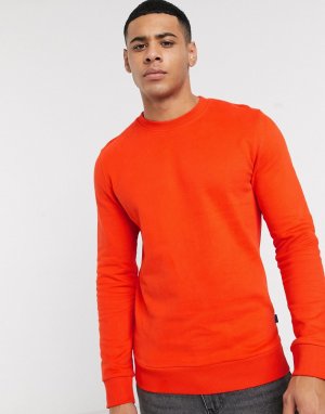 Ярко-оранжевый свитшот с круглым вырезом Esprit