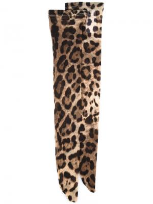 Чулки с леопардовым узором Dolce & Gabbana. Цвет: коричневый