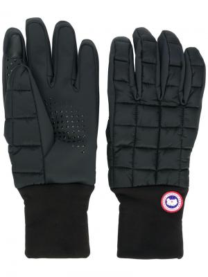 Стеганые перчатки с логотипом Canada Goose. Цвет: черный