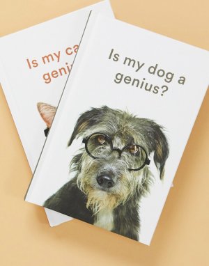Книга Is My Dog a Genius?-Мульти Allsorted