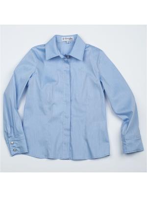 Блузка CIAO KIDS collection. Цвет: голубой