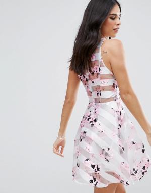 Короткое приталенное платье с цветочным принтом и сетчатыми вставками AX Paris. Цвет: кремовый