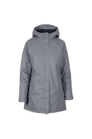 Зимняя водонепроницаемая куртка, серый Trespass
