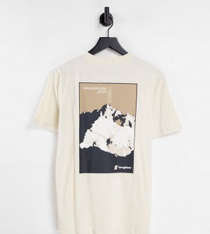 Бежевая футболка Kanchenjunga – эксклюзивно для ASOS-Светло-бежевый цвет Berghaus