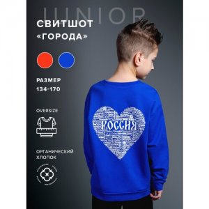 Свитшот подростковый Города России , размер 146, цвет синий DNK. Цвет: синий