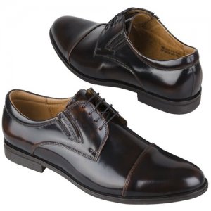Кожаные мужские ботинки на шнурках C-6757-0727-00S02 Conhpol. Цвет: коричневый