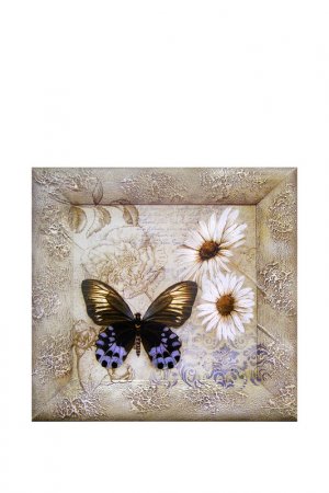 Картина-репродукция Бабочка 2 Декарт. Цвет: бежевый, коричневый