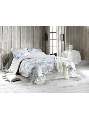 Комплект постельного белья DECO ROSE  сатин, 200ТС, 100% хлопок, евро ISSIMO Home. Цвет: голубой
