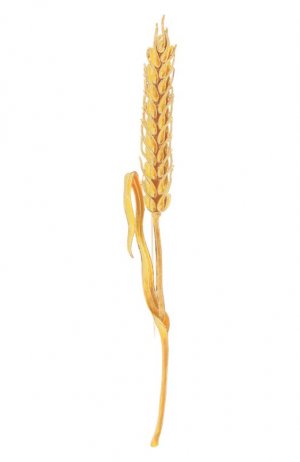 Брошь Пшеница Русские самоцветы. Цвет: золотой