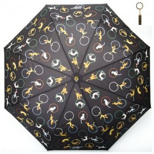 Мини-зонт , черный FLIORAJ. Цвет: черный