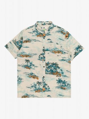 Мужская рубашка с коротким рукавом Longmanhill QUIKSILVER. Цвет: абрикосовый