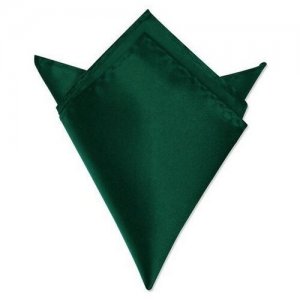 Нагрудный платок , зеленый 2beMan. Цвет: зеленый