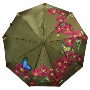 Смарт-зонт, зеленый Crystel Eden. Цвет: зеленый/оливковый
