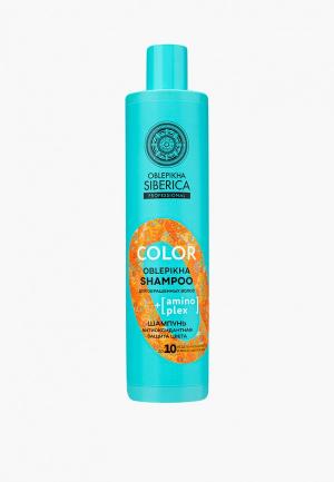 Шампунь Natura Siberica Oblepikha Prof / Color Антиоксидантная защита цвета окрашенных волос, 400 мл. Цвет: прозрачный