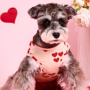 Майка для домашних животных на День святого Валентина с узором сердечка SHEIN. Цвет: многоцветный