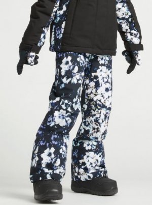 Сноубордические брюки ROXY Backyard. Цвет: kvj1