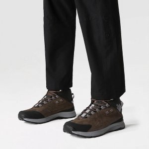 Мужские ботинки Cragstone Leather Mid The North Face. Цвет: коричневый