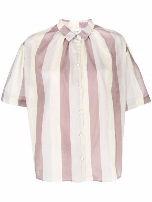 Striped short-sleeve shirt Alysi. Цвет: фиолетовый