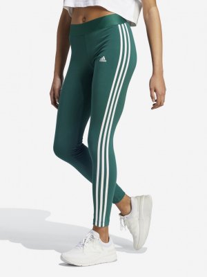 Легинсы женские , Зеленый adidas. Цвет: зеленый