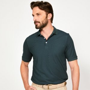 Мужская рубашка-поло для гольфа с коротким рукавом - WW500 зеленая , цвет gruen INESIS