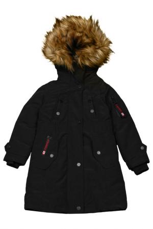 Куртки canada weather gear что за бренд. Смотреть фото Куртки canada weather gear что за бренд. Смотреть картинку Куртки canada weather gear что за бренд. Картинка про Куртки canada weather gear что за бренд. Фото Куртки canada weather gear что за бренд