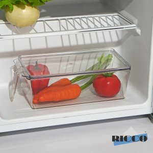 Контейнер для холодильника с крышкой и ручкой ricco, 32×14,5×10 см, цвет прозрачный RICCO. Цвет: прозрачный