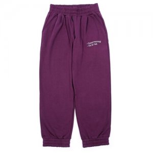 Спортивные брюки SORRY, IM NOT™ PLUM, женские, цвет сливовый, размер L I'M NOT. Цвет: фиолетовый