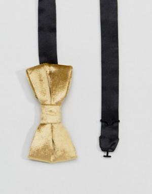 Бархатный галстук-бабочка Noose & Monkey. Цвет: золотой