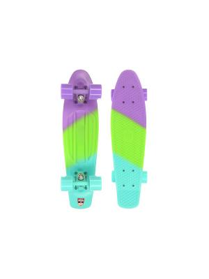 Пластборд Юнион Slurp (22,5) скейтборды. Цвет: голубой, фиолетовый, зеленый