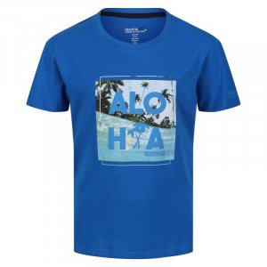 Пляжная футболка Bosley V для мальчиков/девочек Imperial Blue REGATTA, цвет azul Regatta