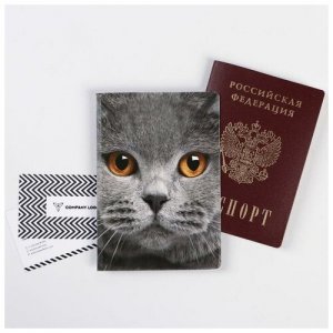 Для паспорта Mikimarket, серый Мастер К. Цвет: серый