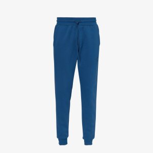 Спортивные брюки из смесового хлопка с фирменным принтом Essential , синий Bjorn Borg