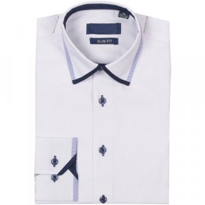Школьная рубашка , прилегающий силуэт, на пуговицах, манжеты, в полоску, размер 36/158, белый Sky Lake. Цвет: белый
