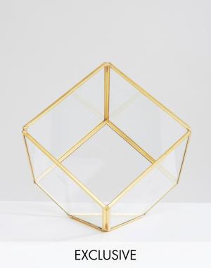 Кубовидный террариум By Savvy. Цвет: золотой