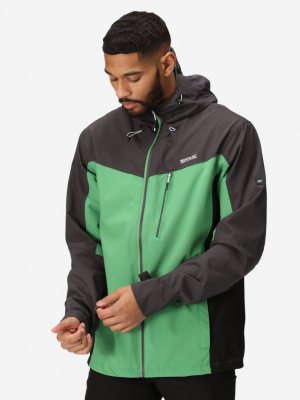 Куртка мембранная мужская Birchdale, Зеленый Regatta. Цвет: зеленый
