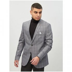 Пиджак , размер (50)L, серый Agiboss. Цвет: серый