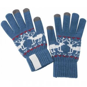 Сенсорные перчатки Raindeer, синие molti. Цвет: голубой