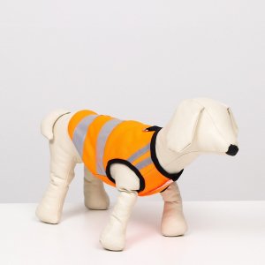 Светоотражающий жилет для собак, размер 8 (дс 23 см, ог 30 22 см), оранжевый No brand