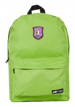 Рюкзак , зеленый DeFacto