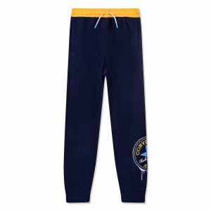 Подростковые брюки Spray CTP Joggers Converse. Цвет: темно-синий