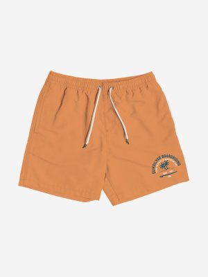 Шорты пляжные мужские Sun Stroke Volley, Оранжевый Quiksilver. Цвет: оранжевый