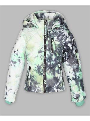 Куртка Arista. Цвет: серо-зеленый