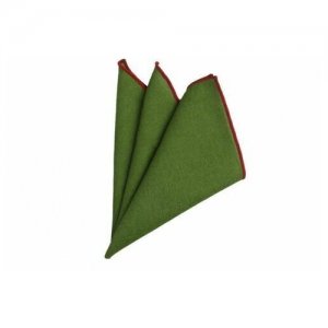 Нагрудный платок, зеленый 2beMan. Цвет: зеленый