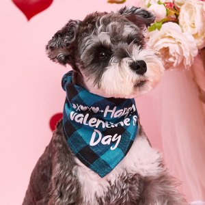 Бандана для домашних животных на День святого Валентина с текстовым принтом SHEIN. Цвет: многоцветный