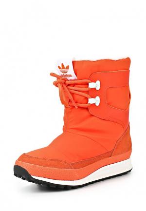 Дутики adidas Originals SNOWRUSH W. Цвет: оранжевый