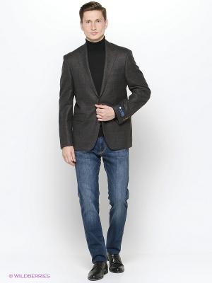 Пиджак мужской DOUGLAS. Цвет: серый
